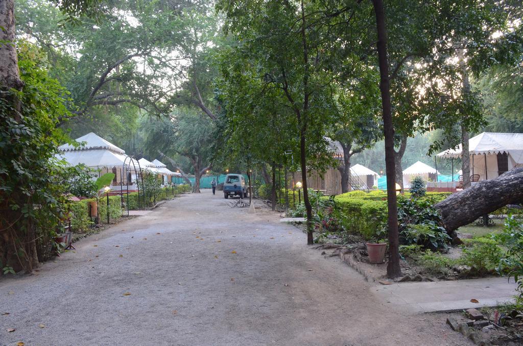 The Aravali Tent Resort Udaipur Eksteriør bilde
